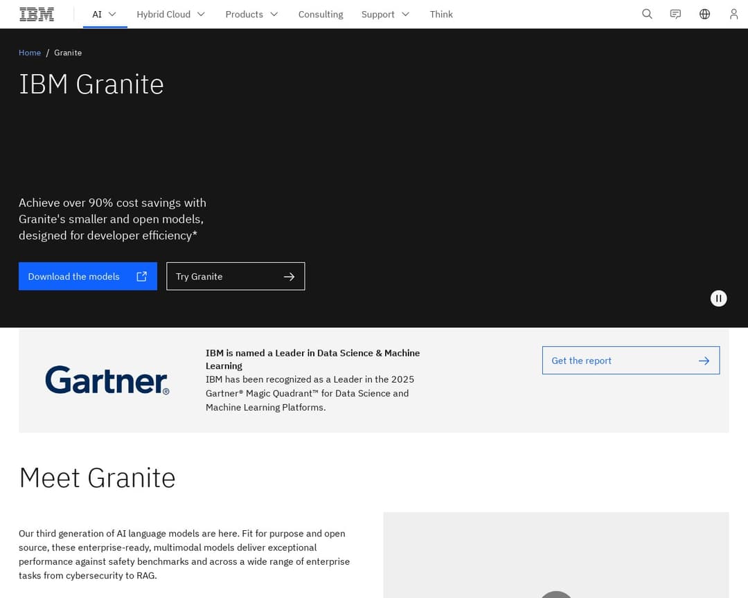 IBM Granite