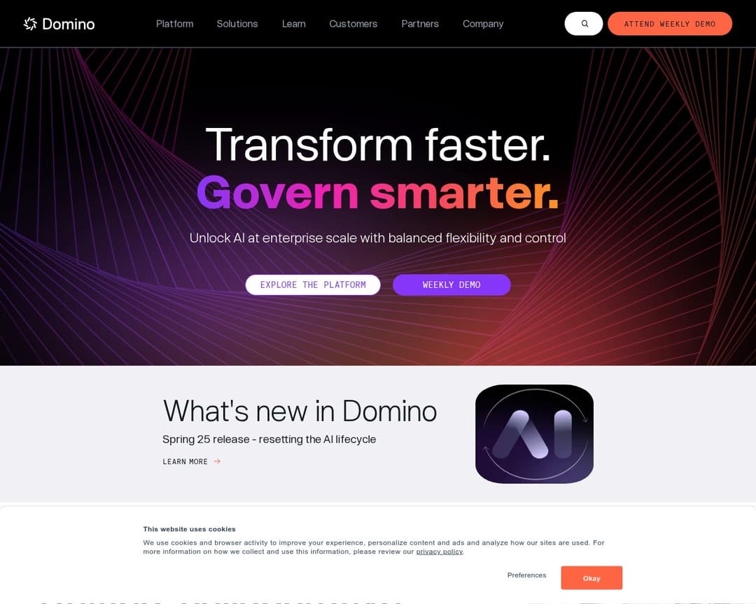 Domino Data Lab