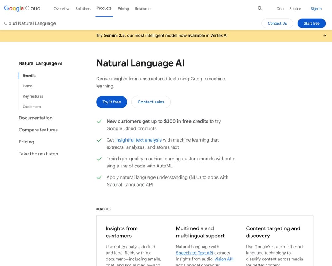 Google Cloud Natural Language