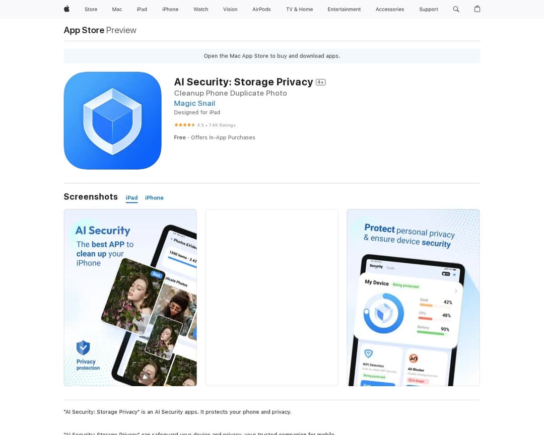 AI Security: Storage Privacy