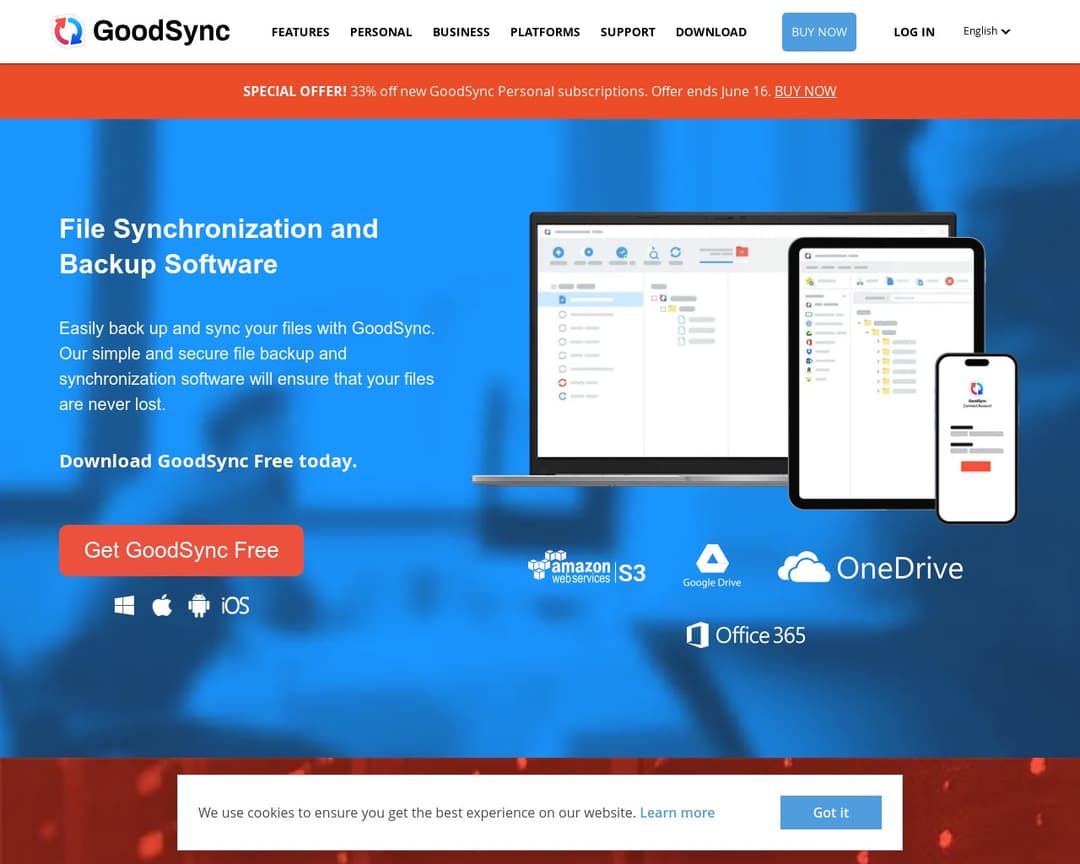 GoodSync