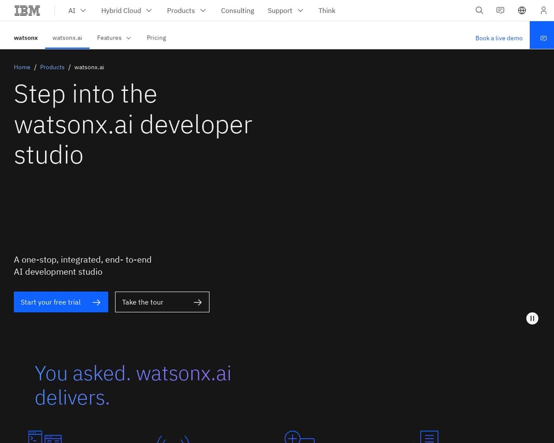 IBM watsonx.ai