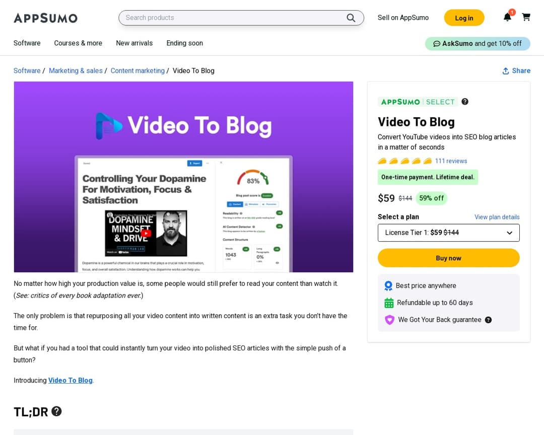 Video To Blog