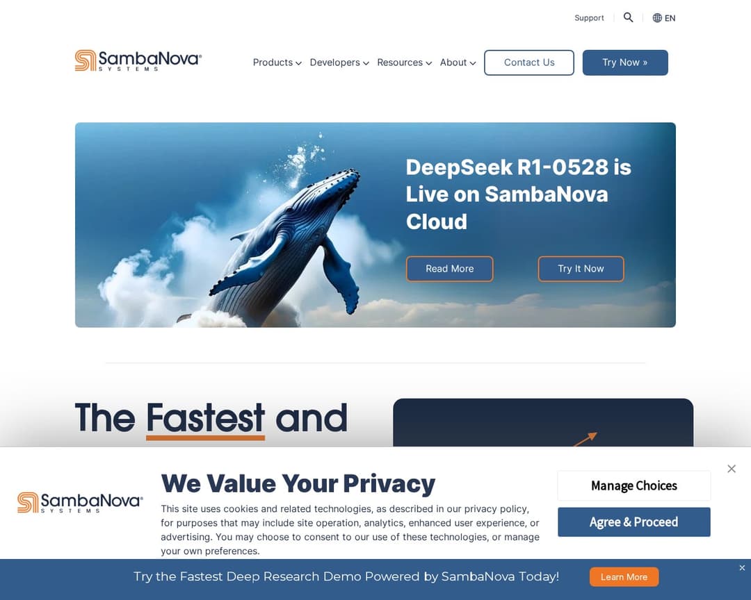 SambaNova Systems