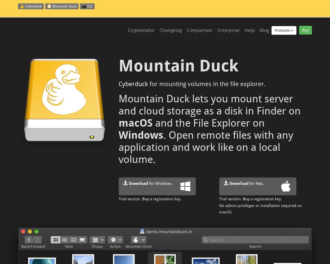 Mountain Duck