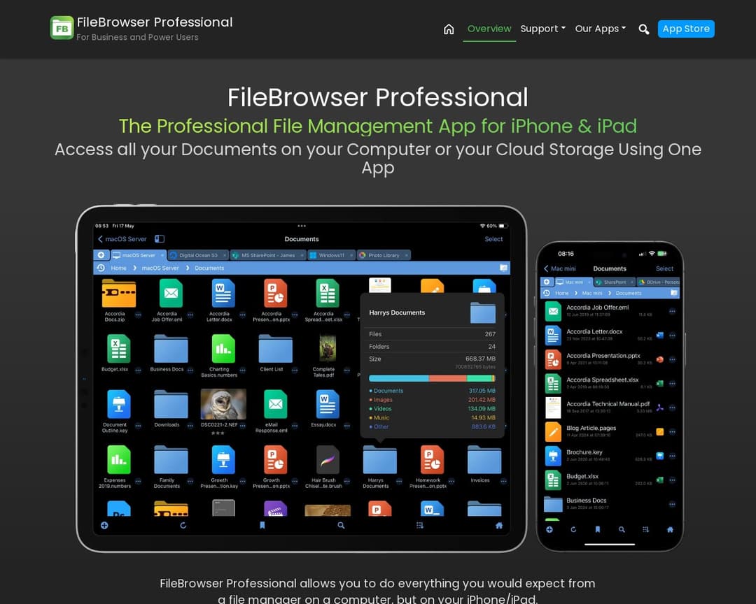 FileBrowser Professional