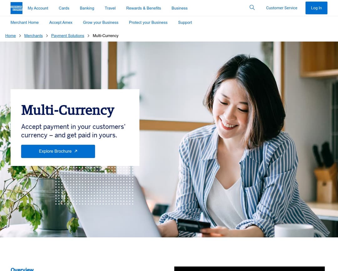 American Express Multi-Currency Payment Processing Gateway