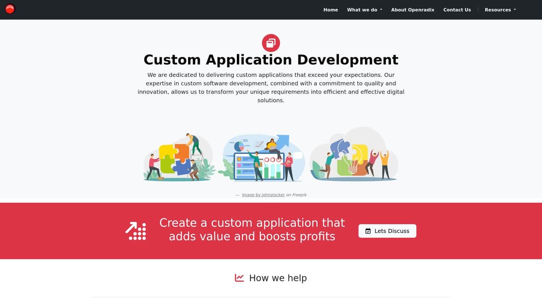 Custom Application Development