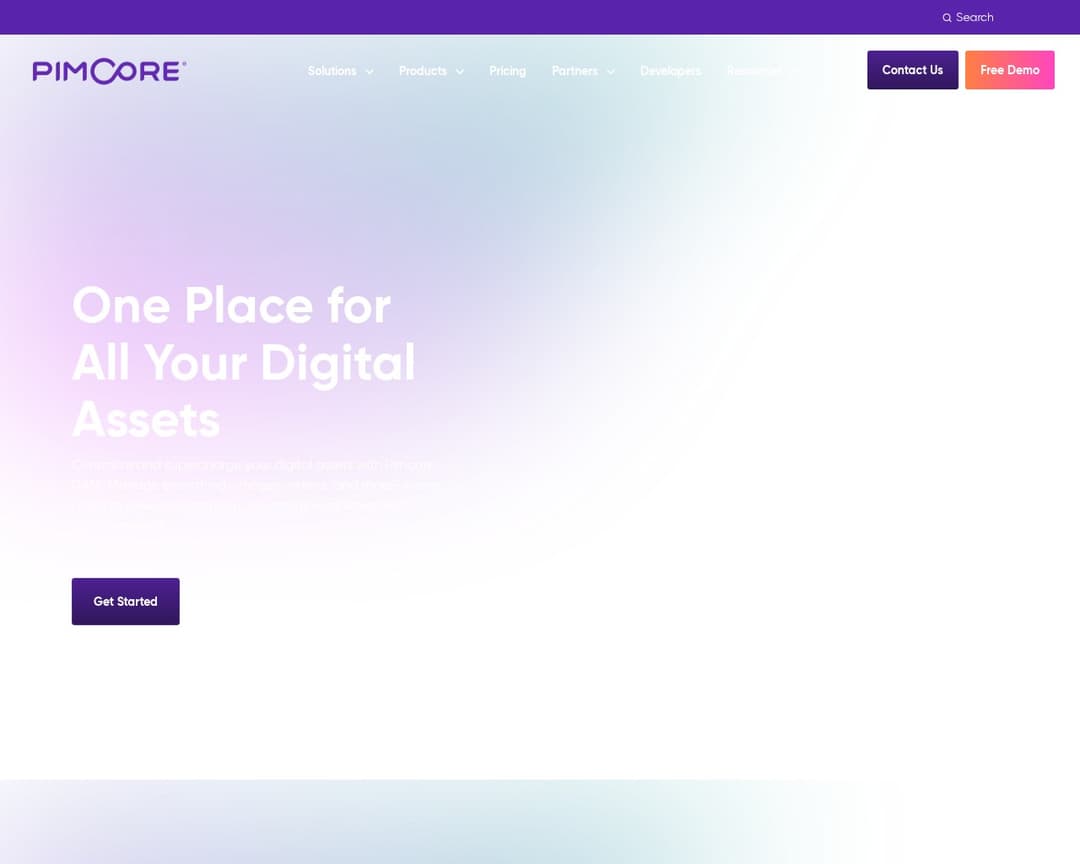 Pimcore (DAM component)