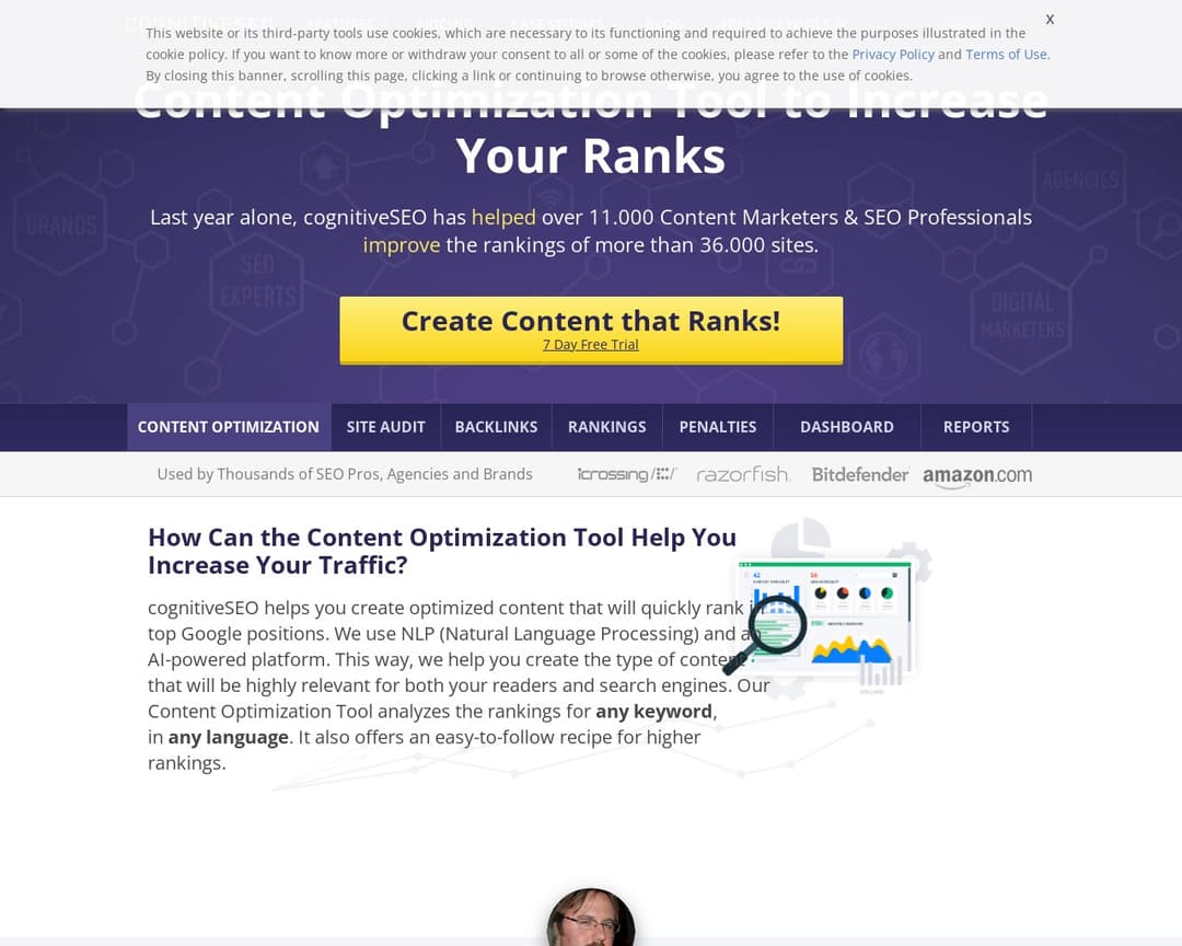 CognitiveSEO Content Optimizer