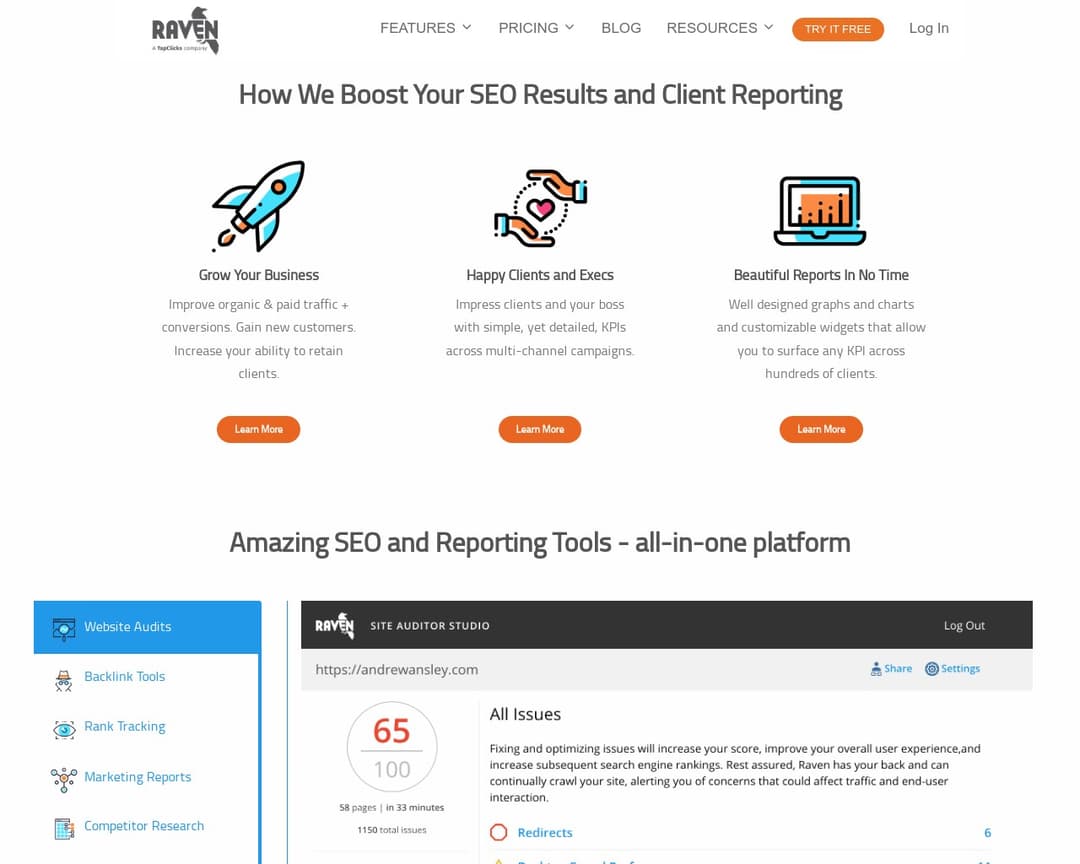Raven Tools Site Auditor